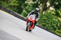 PJ-Motorsport-Photography-2020;anglesey;brands-hatch;cadwell-park;croft;donington-park;enduro-digital-images;event-digital-images;eventdigitalimages;mallory;no-limits;oulton-park;peter-wileman-photography;racing-digital-images;silverstone;snetterton;trackday-digital-images;trackday-photos;vmcc-banbury-run;welsh-2-day-enduro